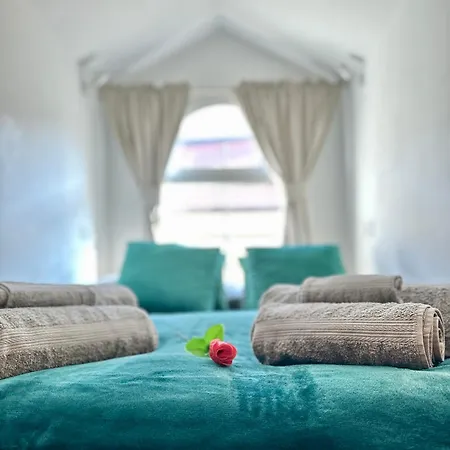 New Bonsai- Centro Garibaldi *